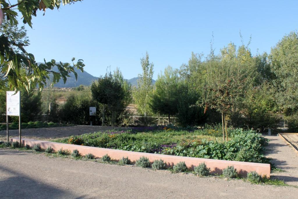 Centro De Agroecologia Y Medio Ambiente De Murcia Bullas Oda fotoğraf