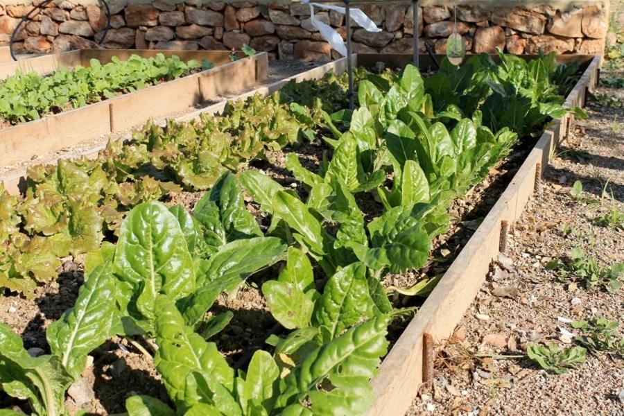 Centro De Agroecologia Y Medio Ambiente De Murcia Bullas Dış mekan fotoğraf
