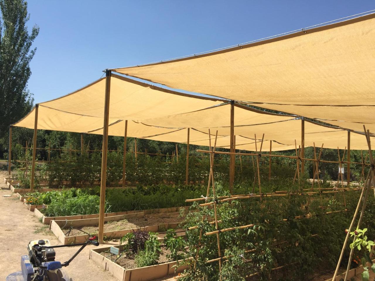 Centro De Agroecologia Y Medio Ambiente De Murcia Bullas Dış mekan fotoğraf