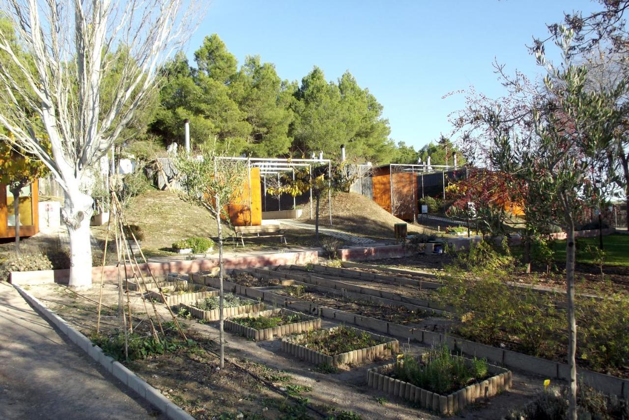 Centro De Agroecologia Y Medio Ambiente De Murcia Bullas Dış mekan fotoğraf