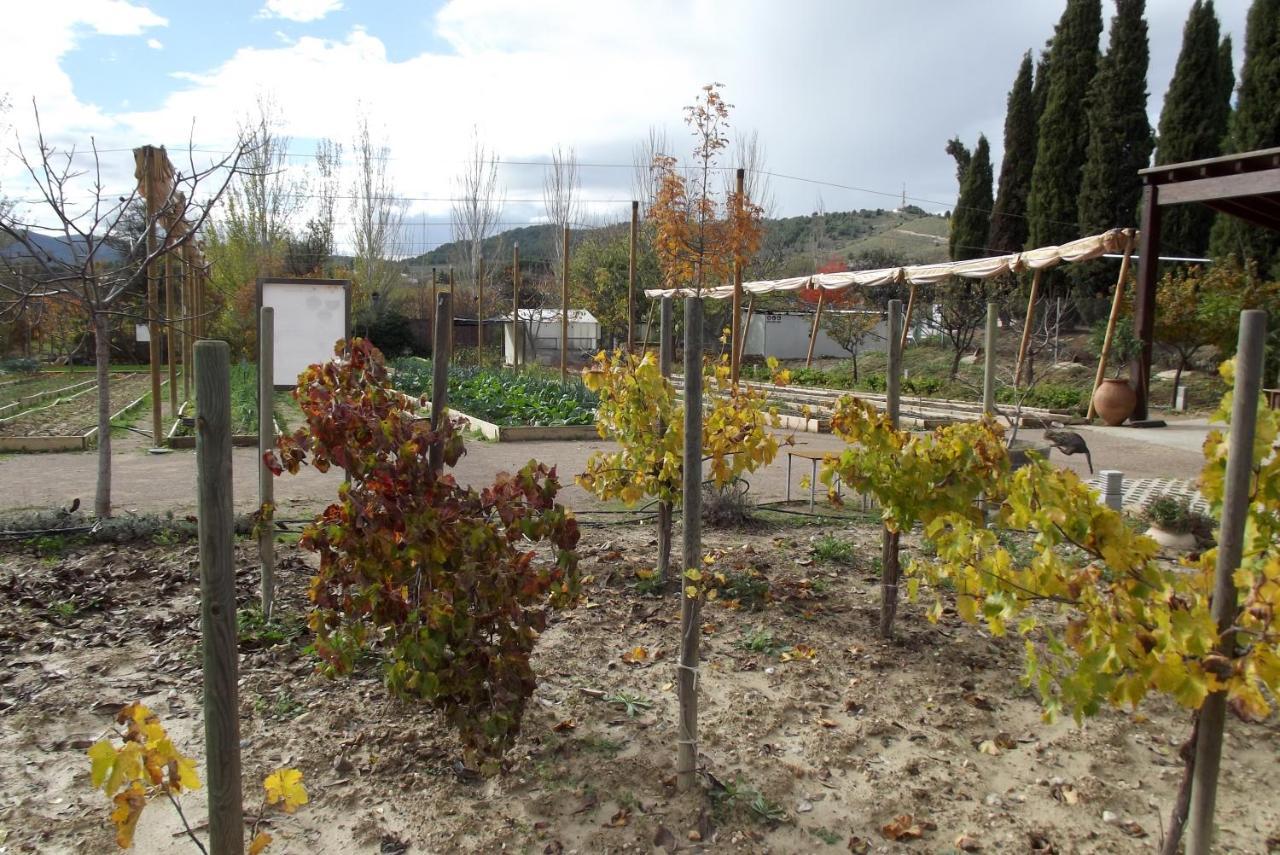 Centro De Agroecologia Y Medio Ambiente De Murcia Bullas Dış mekan fotoğraf